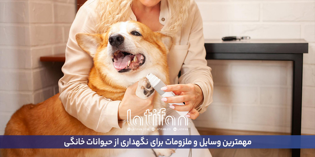مهمترین وسایل و ملزومات برای نگهداری از حیوانات خانگی (پت ها)